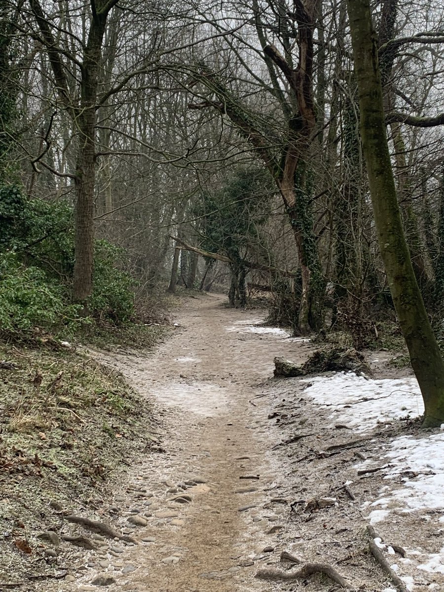 dale_sando's tweet photo. Gainford to home today along icy trail paths. A trail Marathon in April so I have to adapt my running. Despite my layers and gloves on it was absolutely baltic 🥶🥶 #TrailRunning #TeesdaleWay #CharmBracelet https://t.co/g824bPy3Y4