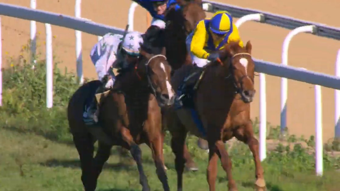 DerbyDay (@thederbyday) on Twitter photo 