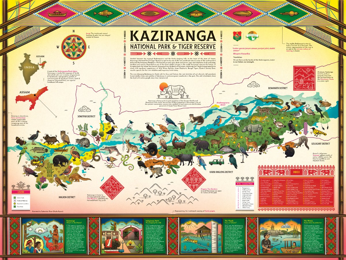 Biodiversity Map of Kaziranga National park &amp; Tiger Reserve.

#folkindica #assam #heritage #art #map