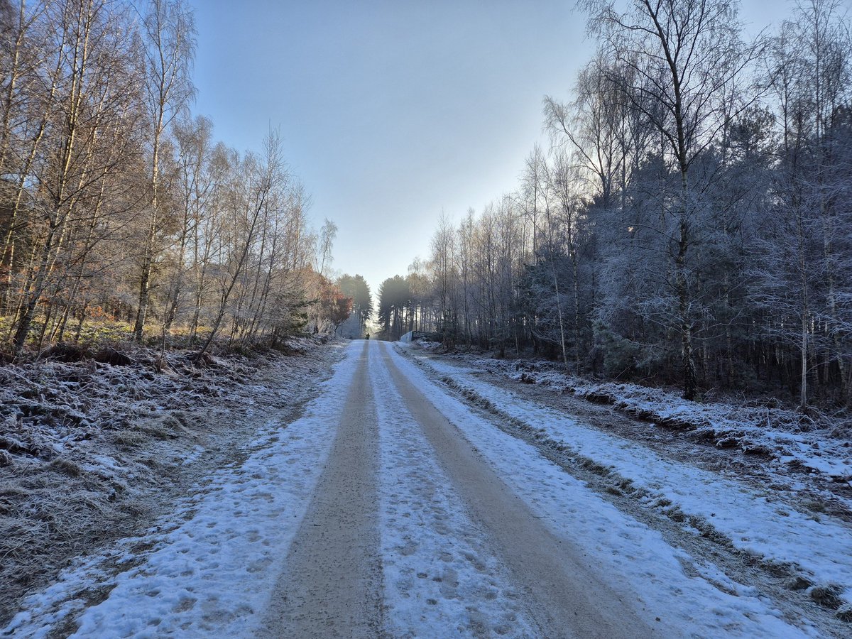 Ashtree_Comms's tweet photo. Run event 2/25 - yesterday's trail challenge at Sherwood Pines with Rasselbock Running. 18 cold and slippy miles... bring on the spring! https://t.co/uwYqiXhyZ4