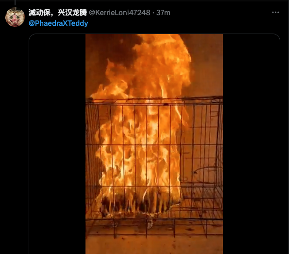 REPORT  - these monsters continue to be relentlessly awful. Mocking animals rescued in the #CaliforniaWildfires with images of cats burned &amp; tortured. #China's government is a DISGRACE for allowing #AnimalCruelty to fester. 😡 #BoycottChina <a href="/HeRulong/">He Rulong 何儒龙</a> 

@ KerrieLoni47248