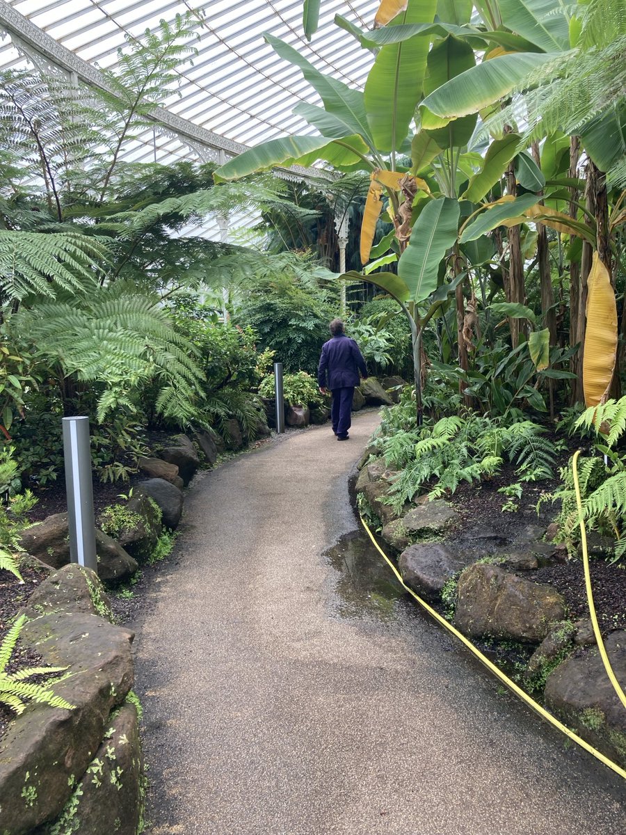 Andrew Sinclair (@andrews_gbg) on Twitter photo Did I just hear Monty Don say the Kibble Palace <a href="/GlasgowBotanic/">Glasgow Botanic Gdns</a> was probably the best glasshouse experience in the world!! #MontyDonsBritishGardens. Episode 1 Did I just hear Monty Don say the Kibble Palace <a href="/GlasgowBotanic/">Glasgow Botanic Gdns</a> was probably the best glasshouse experience in the world!! #MontyDonsBritishGardens. Episode 1