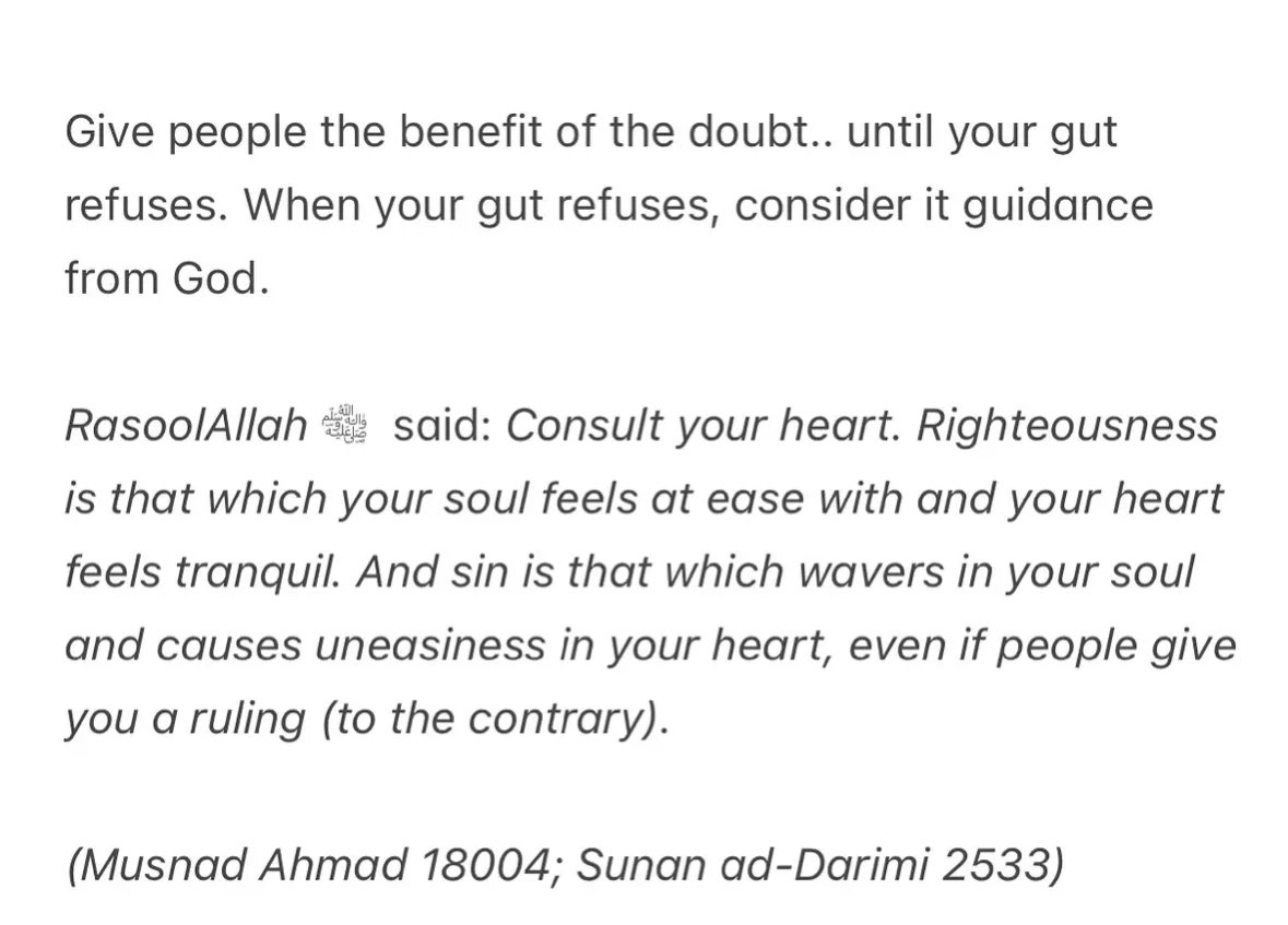 fatimaaimann's tweet photo. Your heart is oftentimes the most trustworthy guide. https://t.co/uVNXdsKwFG