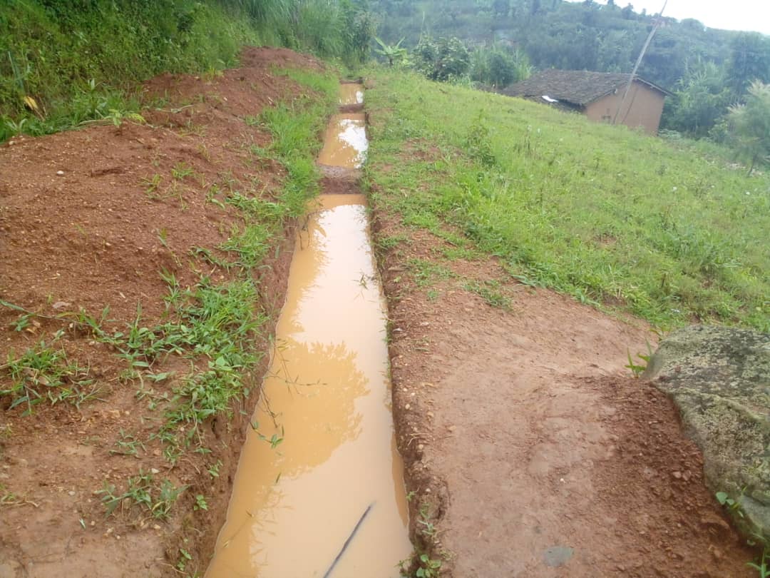 EricRukund0's tweet photo. Efficient water management in action! Trenches demonstrates a simple yet effective method for controlling water flow in agricultural fields, promoting better irrigation and soil conservation. #SustainableFarming #WaterManagement https://t.co/4NtqILZBoX