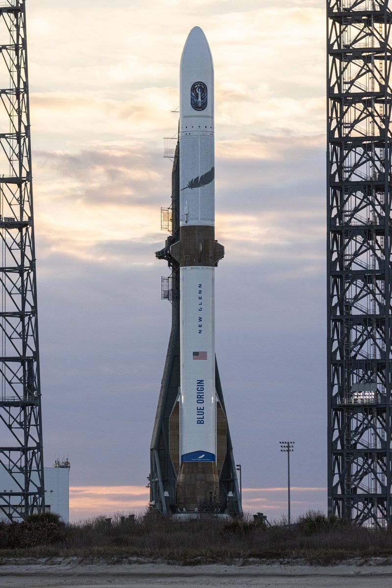 Max Evans tweet media