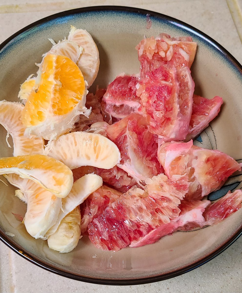 SWDesertLiving's tweet image. It's that citrus time of year in Tucson.  Fresh Pomelo and Oranges for breakfast and juicing.  #oranges #pomelo #itsjanuary #azliving #backyardgarden #Homegrown #citrus #Tucson #mandarinoranges #kitchengarden #growyourown #tucsonbackyardgardening #tucsonaz