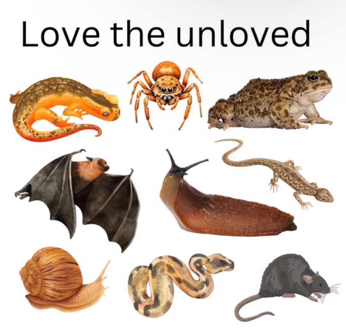 horrorsthetics's tweet image. !!!!!!!!!!!