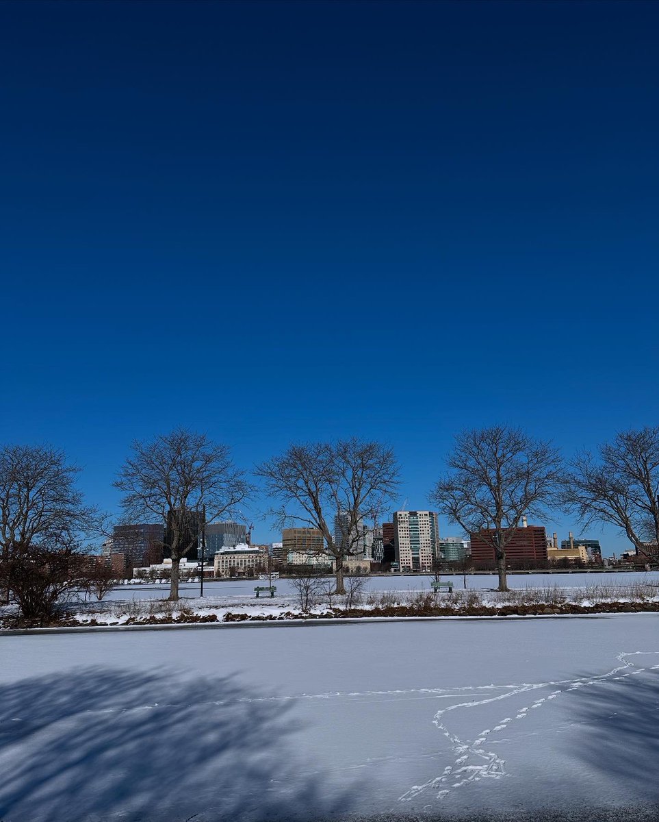 HanCardiomd's tweet photo. A frosty transformation: the #Charles River glistens under winter's icy embrace, offering a tranquil view 🧊
#Boston #BostonWinter #NewEngland https://t.co/SmOvPucSnx