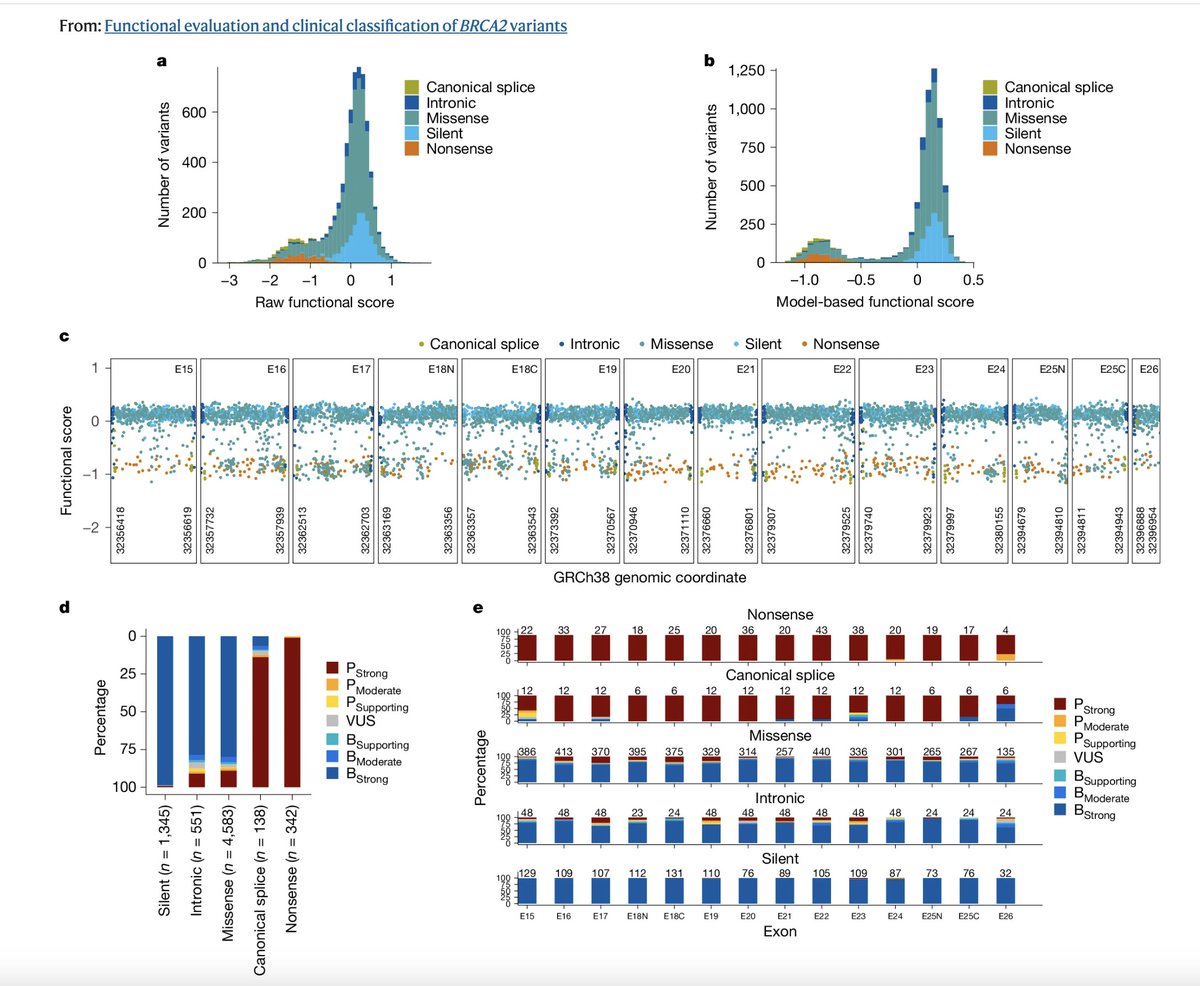 For your science Sunday! A must-read: Huang et al. uncover how #BRCA2 alterations differ in cancer risk.
🌟 Key takeaways:
• Patients: Tailored risk assessments.
• Clinicians: Better genetic insights.
• Researchers: Clearer cancer biology roadmap.

nature.com/articles/s4158…