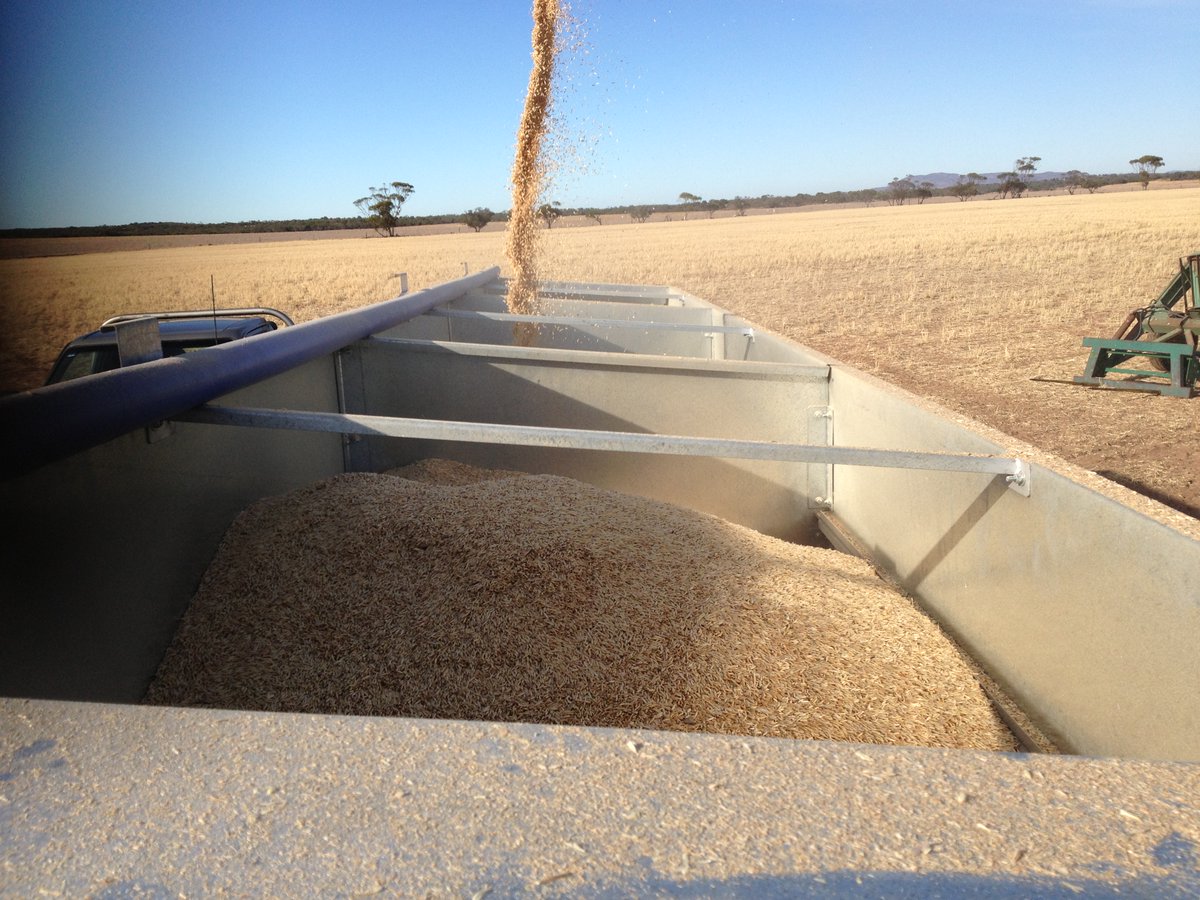 Lienert Engineering brings you an innovative line-up of mobile and stationary self-grain feeders! 🌾

Designed to simplify your feeding process, our solutions save time while keeping your livestock happy. 

Experience the ease of efficient stock management today!