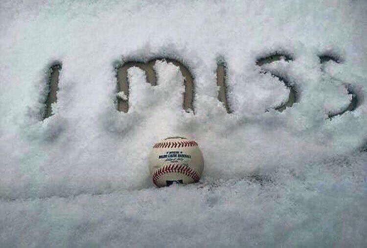 Campbell County HS Baseball (@cougarsbsb) on Twitter photo 