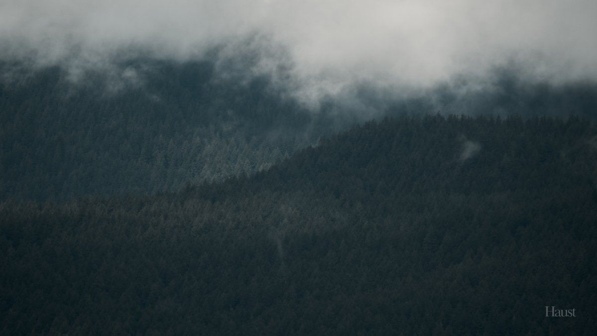 Clouds, Forests &amp; Light.
#photography