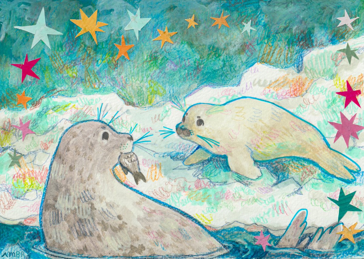 (´• ᴥ •`) 🫧🦭