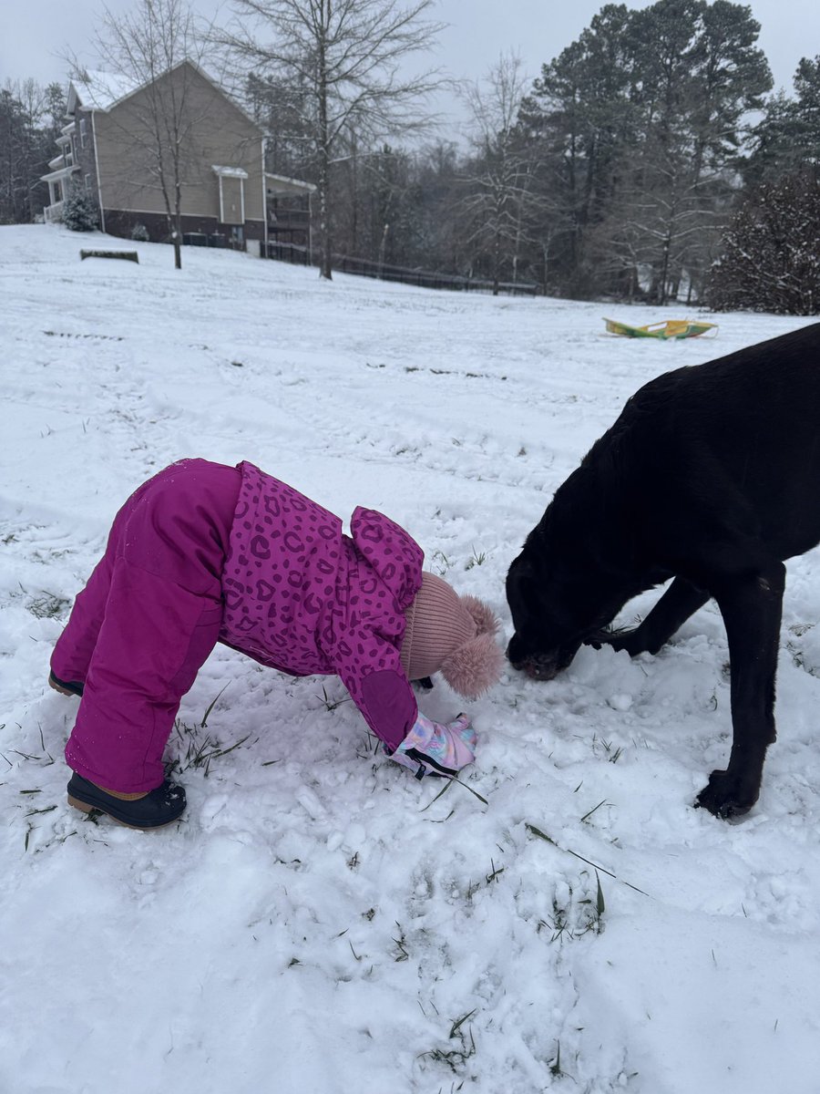 KelliBreeKent's tweet photo. The cold never bothered my sweet niece anyway https://t.co/WCPRKYnmTw