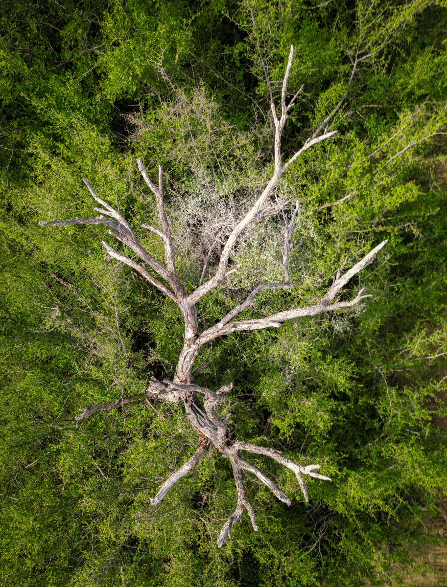 RickmanJustin's tweet photo. @DJIGlobal #Drone #Dronephotography https://t.co/saUOlnjdyf
