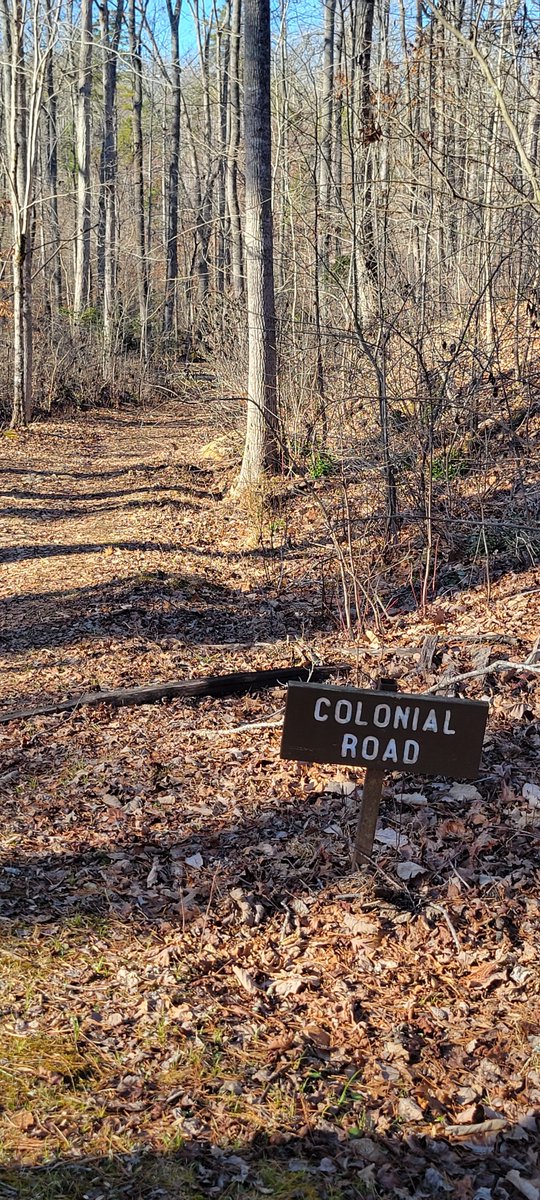 History hike today at Kings Mtn. National Military Park.
