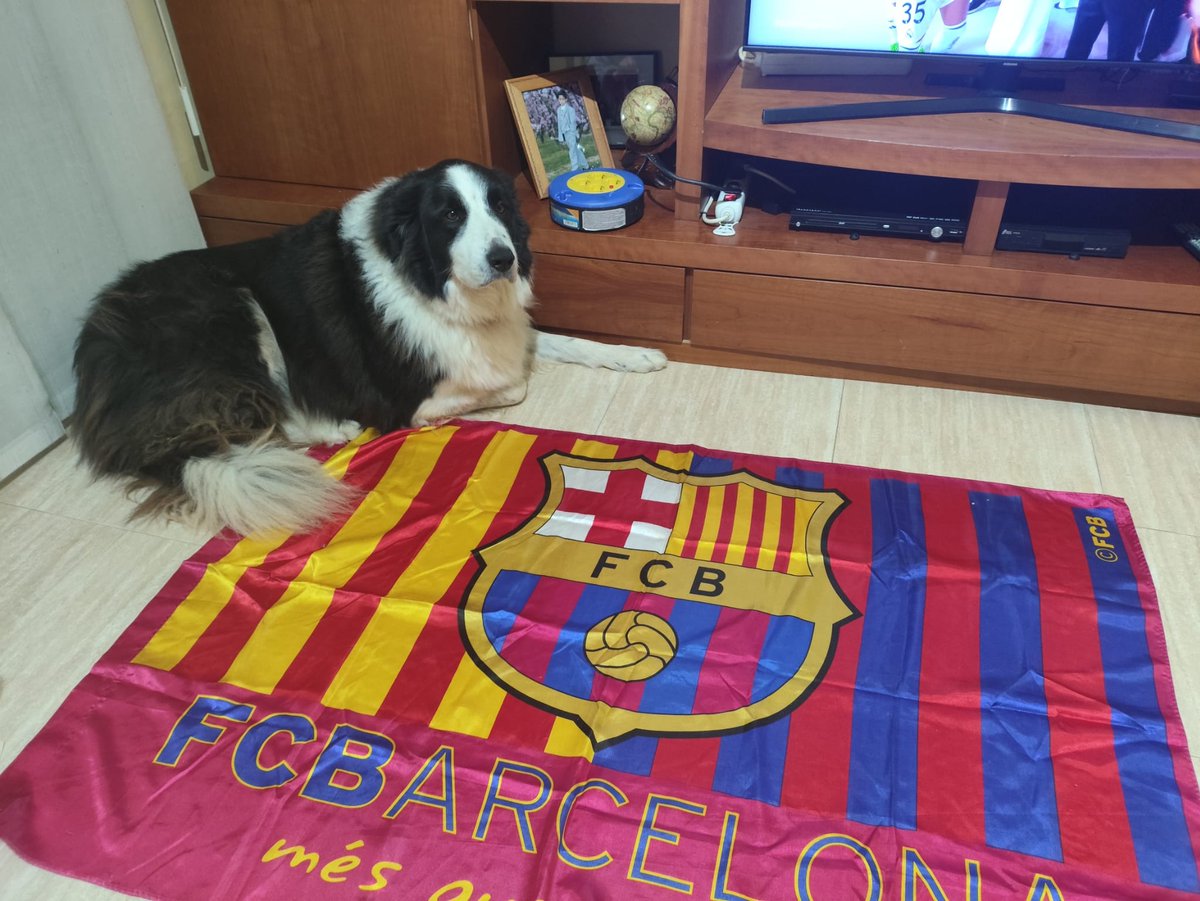 Visca el Barça i visca Catalunya!