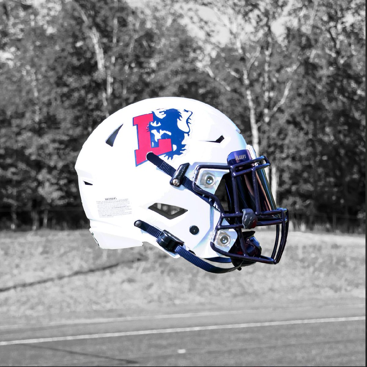 Peyton Harrison tweet media