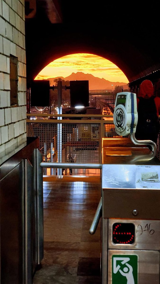 Jesús Zayas tweet media