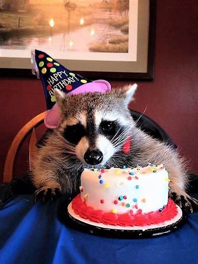 ann_brookman's tweet photo. @buscemi_sabrina Happy birthday beautiful lady, hope you have a wonderful day ! https://t.co/ZyYS5tsWYk