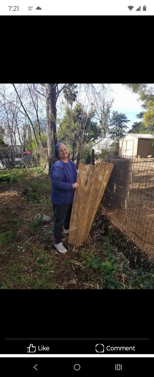 chelsea_newbold's tweet image. By 1 am on January 8th our home and those on our street in Altadena were engulfed in flames. My sister took the first photo as her and my mother evacuated at 9 pm on 1/7 and the second the afternoon of 1/8. Support my mother here -&amp;gt; gofund.me/cb6b7b02