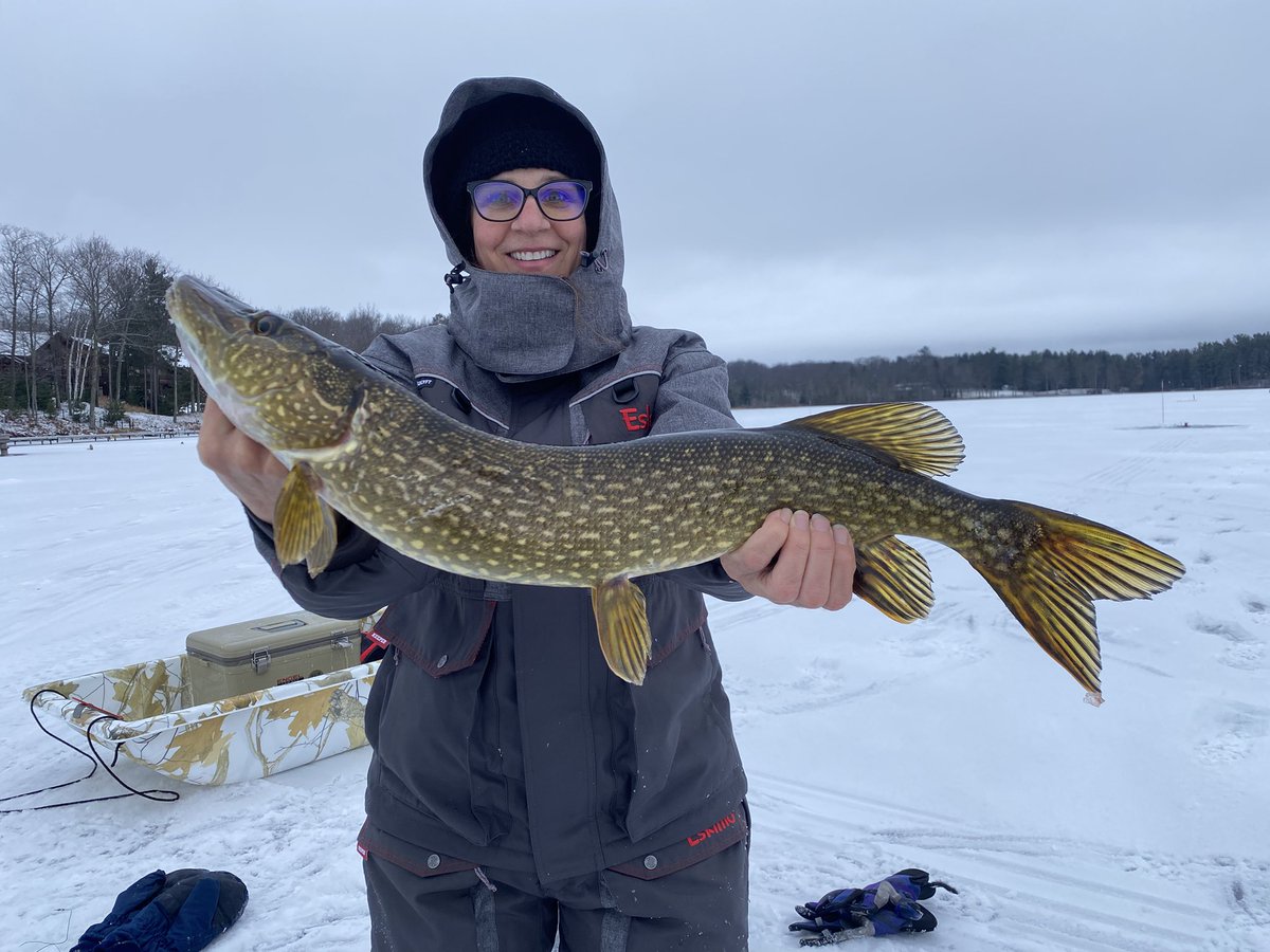 Andrea DeJong tweet media