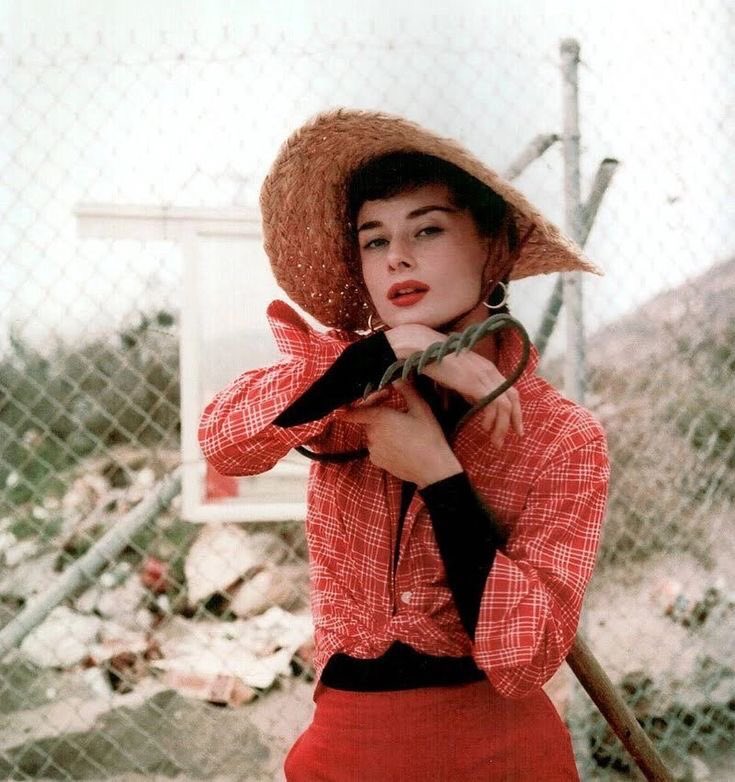 hepburn archive ౨ৎ tweet media