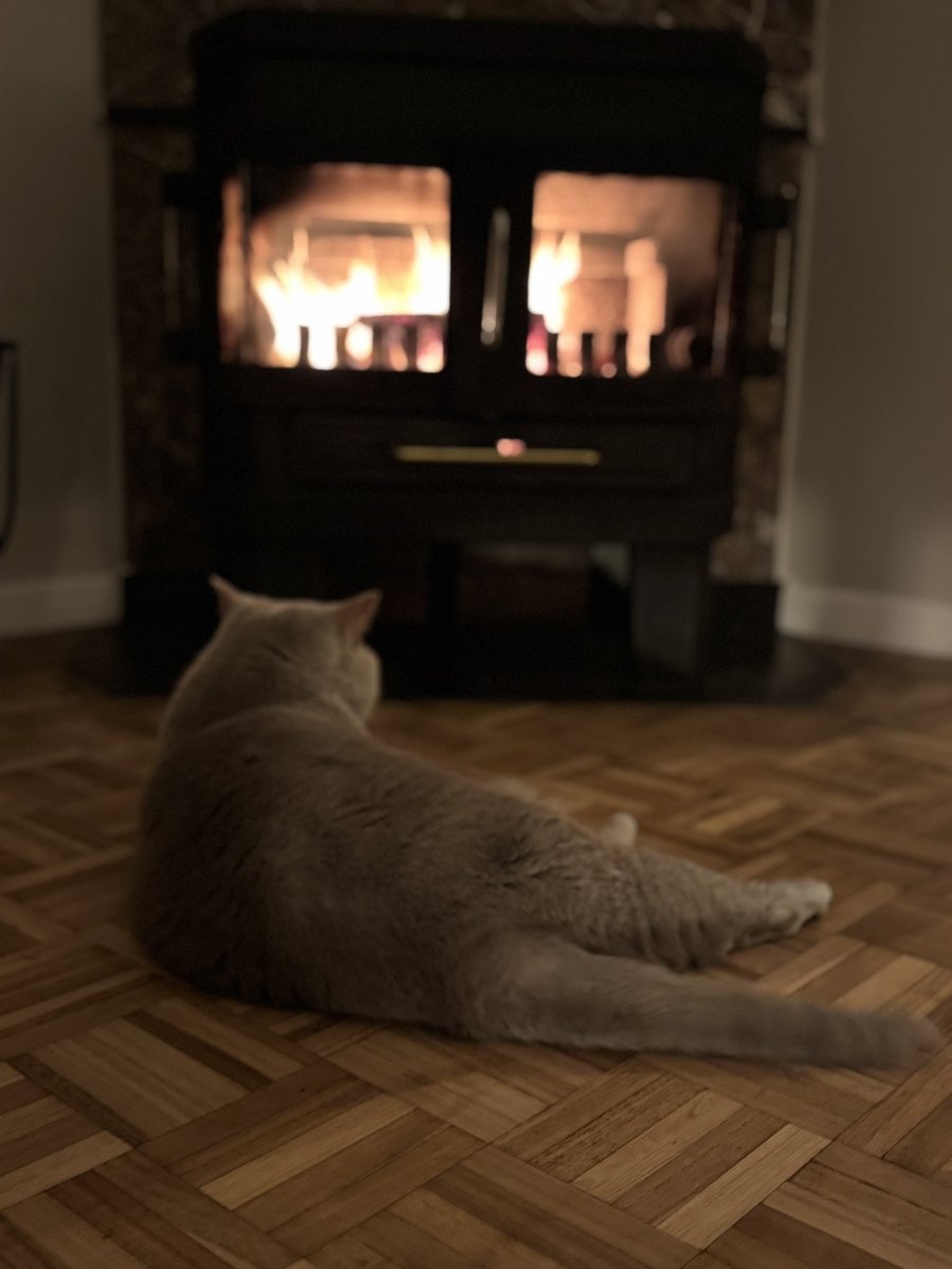 Gek toch… die smelt zowat 🫠