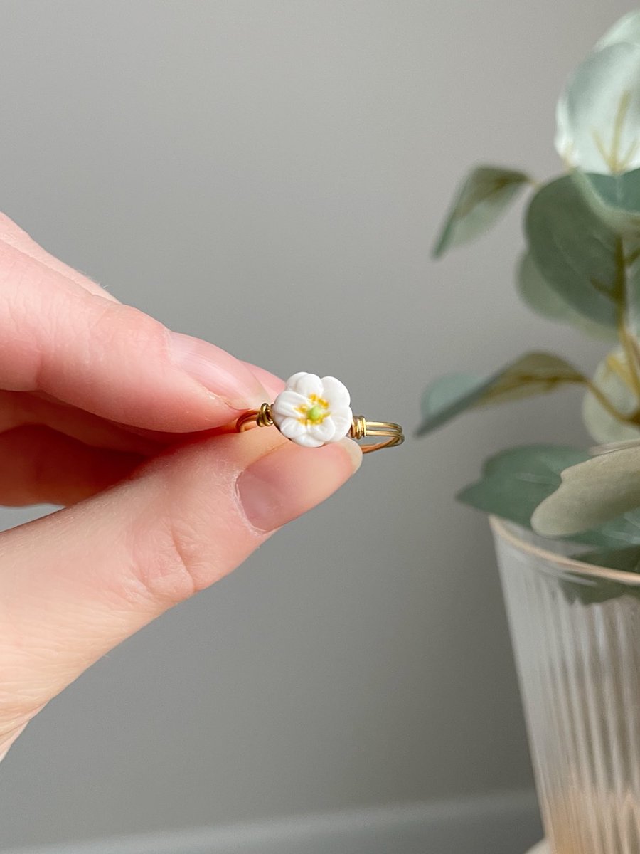 lucilestudio's tweet photo. ����🌿 Tirage au sort 🌿🌼

Je vous propose de gagner cette bague avec une perle d’anémone faite à la main !

Pour participer il suffit de RT + me follow.

Résultat dimanche 19 janvier à 16h ! https://t.co/hhpKIFMRy5