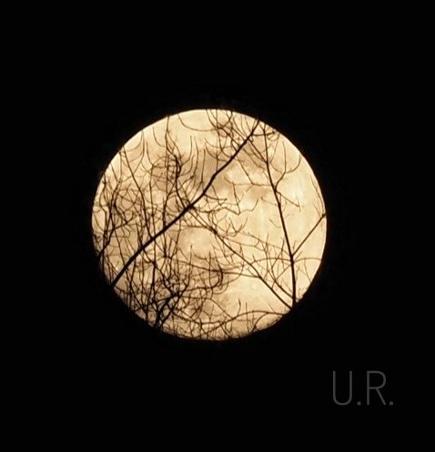 Gorriteandounpo's tweet image. La luna desde Eibar #Unbe 💛
#Eibar #Gipuzkoa #guipuzcoa #Euskadi #euskalherria