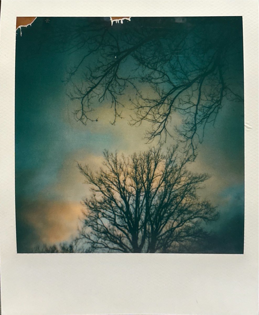 CelinePivoine's tweet image. Nouvel essai sur un nouveau support : carrelage teinté vert ! Votre photo sur simple demande et avec les aléas de l’émulsion de Polaroïd bien sûr ! 

#celinepivoine #art #polaroidlift #emulsionpolaroid #polaroid #polaroidtransfer #carrelage #arbre #nature #reemploi #sunset
