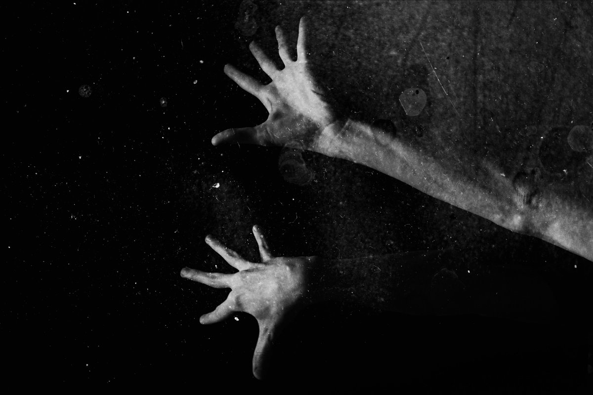 Elena Kuzmicheva tweet media