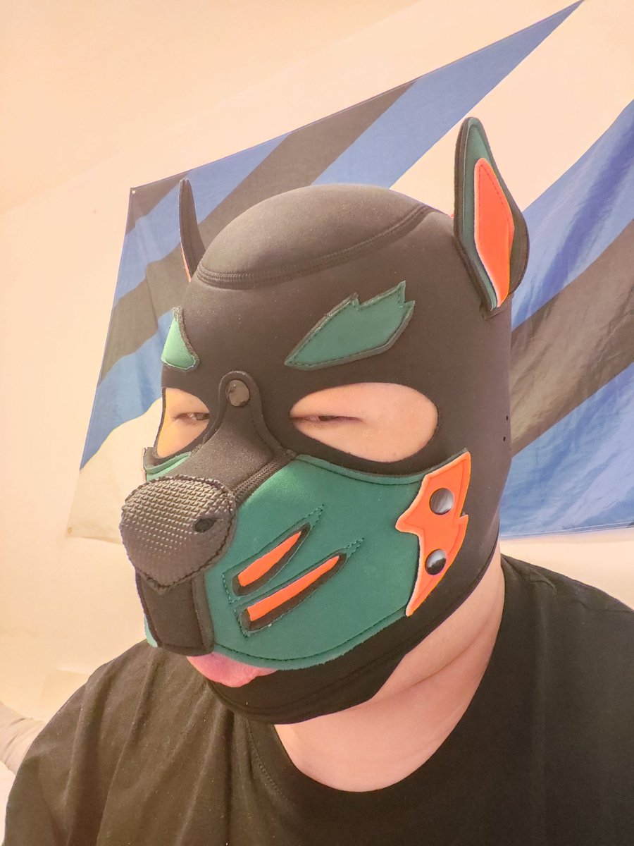 新頭套到了，好耶