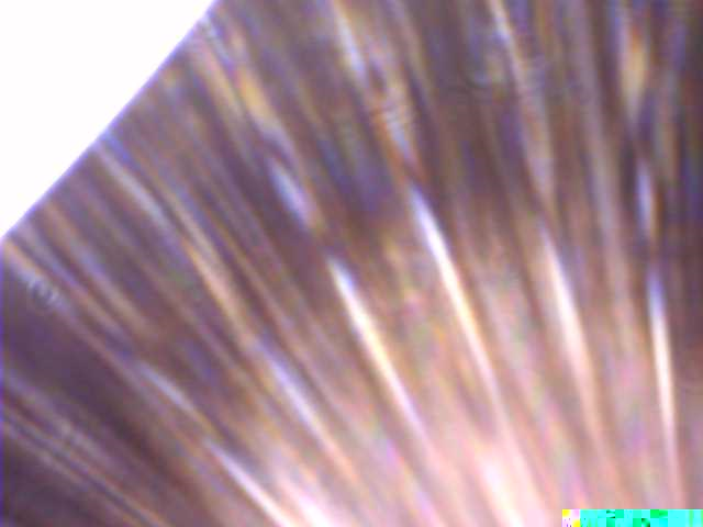 TUBspace tweet media