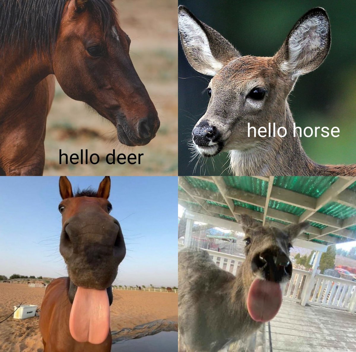 Weh