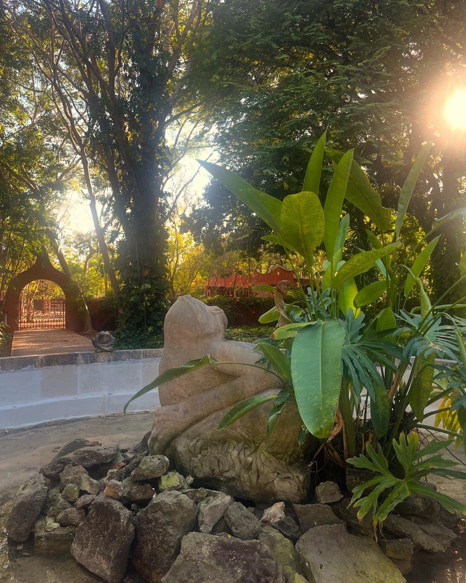paolalcocer's tweet photo. Visitamos la Hacienda Sotuta, un rincón de Yucatán lleno de historia sobre henequén, hay un huerto orgánico, piscina, cenote, fábrica y actividades. 

#turismpopular #turismodebarrio #amigasqueviajan #turismo https://t.co/tFdUqbsj9M