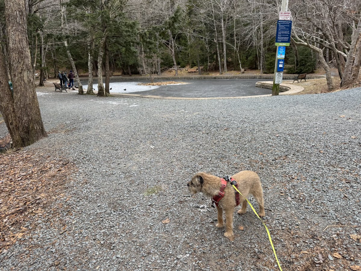 Hubble_BTerrier's tweet image. Today’s hike was in Hemlock Ravine Park, an old growth forest just off Bedford Basin. It starts at the Heart Shaped Pond, built in 1794 by Prince Edward, Duke of Kent, for his mistress Julie. #NSTrails