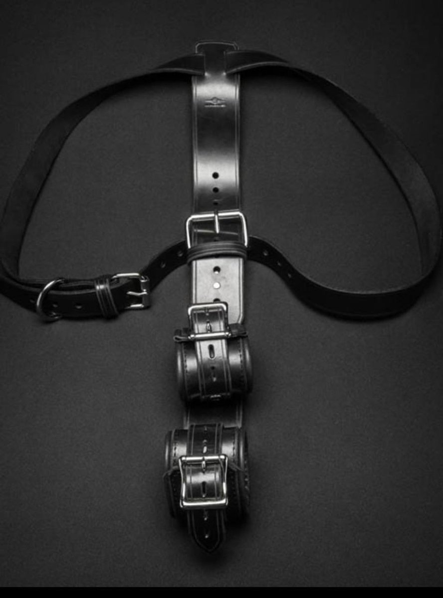 Just purchased the MrS shoulder to wrist restraints. Who will lock me in these and take the 🔐?