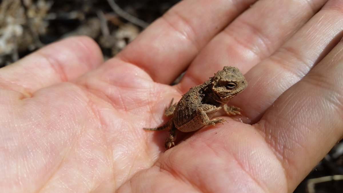 Sterling Crispin ๐๏ธ tweet media