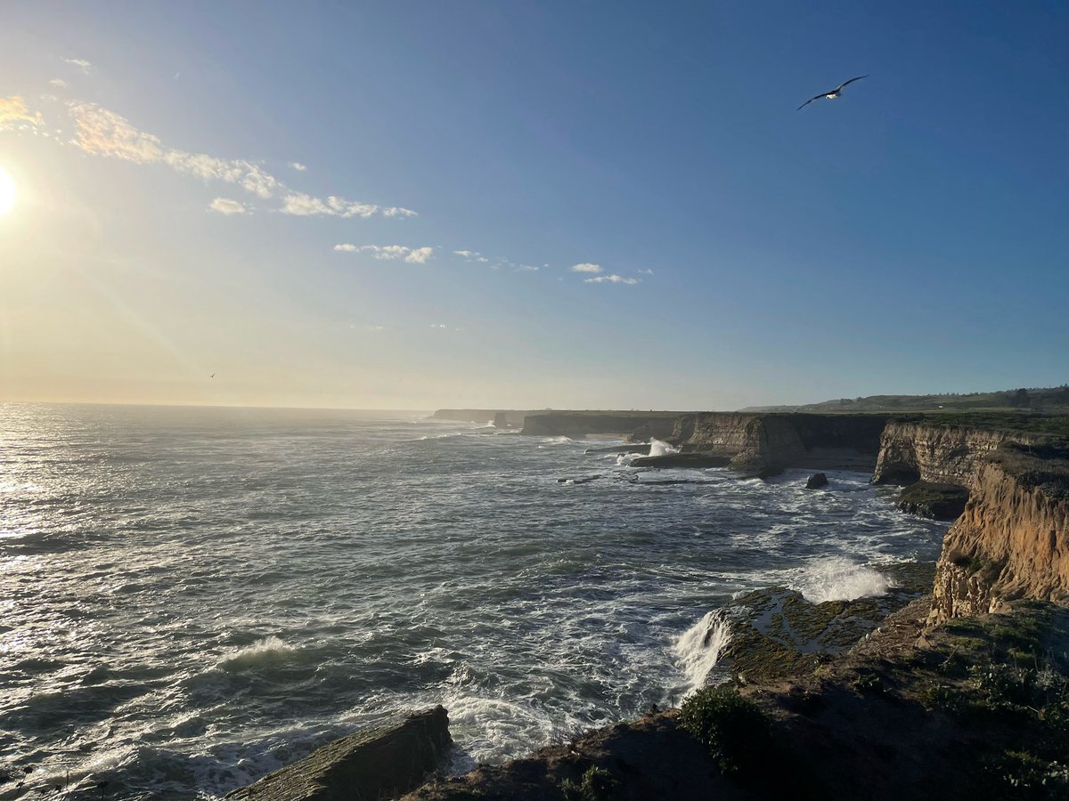 Sterling Crispin ๐๏ธ tweet media