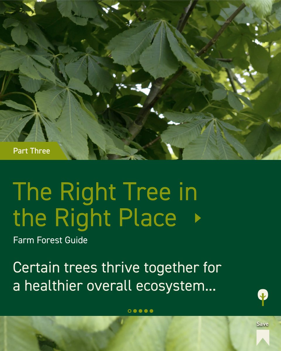 FarmForest tweet media