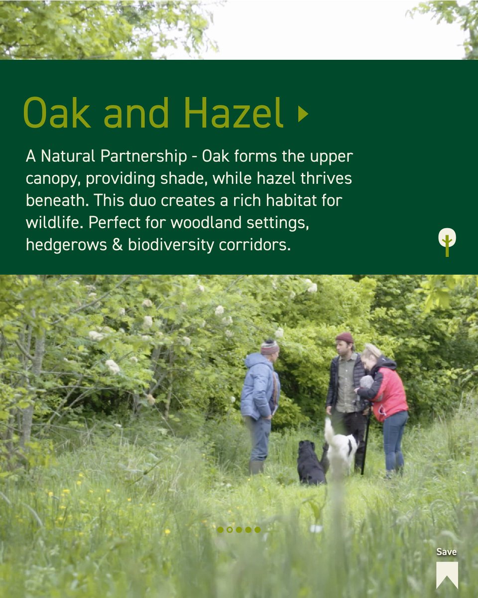 FarmForest tweet media