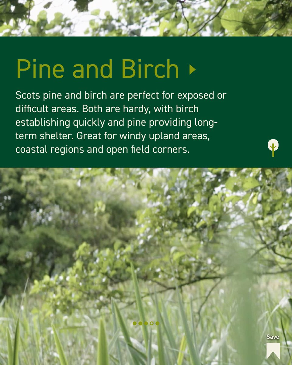 FarmForest tweet media