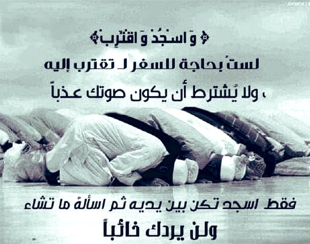 33le_'s tweet photo. فقط اسجد ..! https://t.co/iAbUYNp5ON