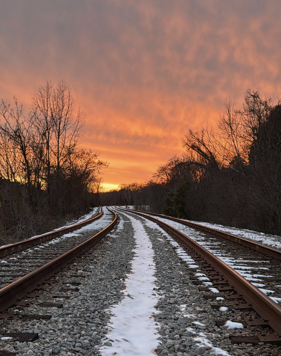 YallahHabibi 🌎 ☮️ tweet media