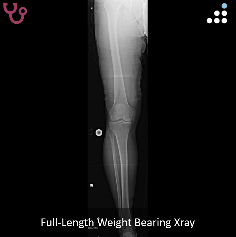 Orthobullets tweet media