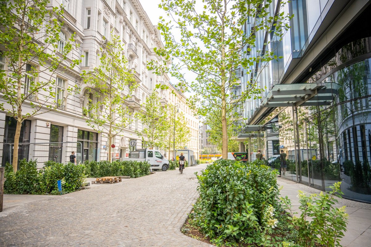 devonzuegel's tweet photo. Wouldn't it be nice to live on a street like this? https://t.co/xHD77DSSt4