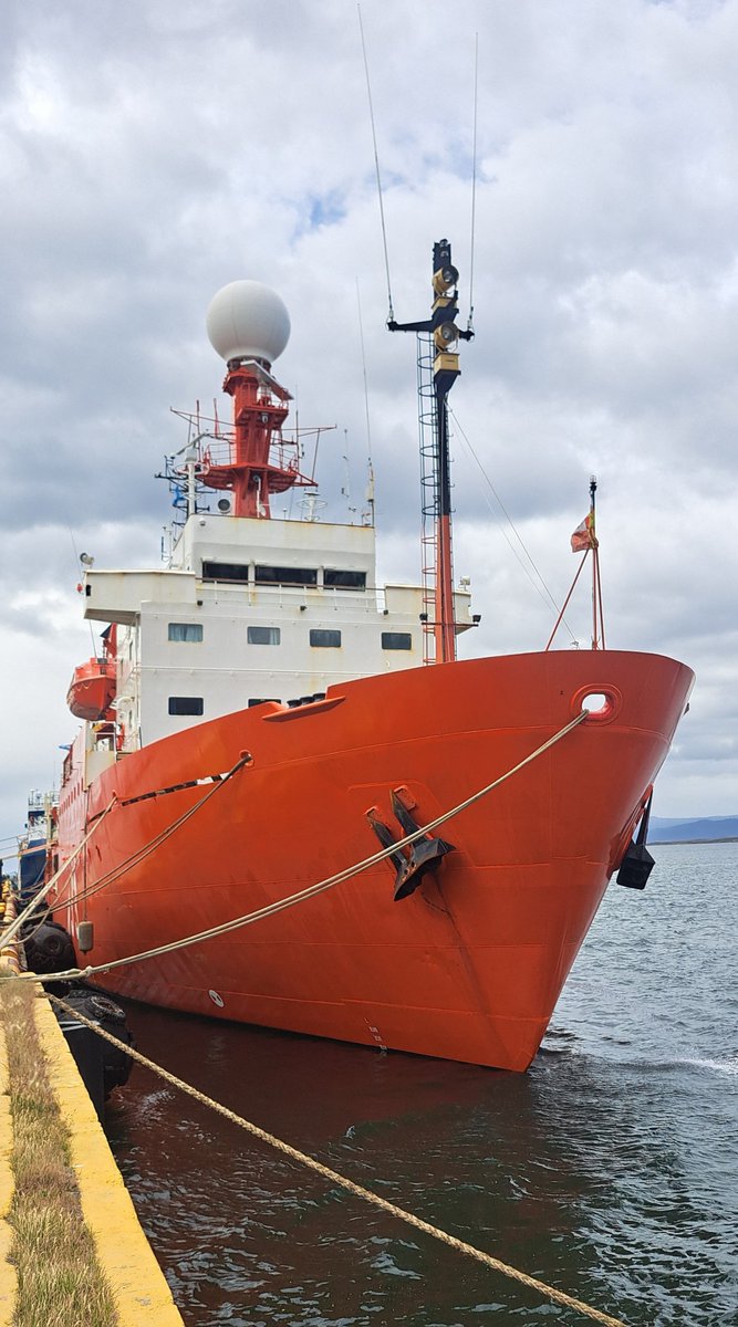 Joan J. Soto-Angel tweet media