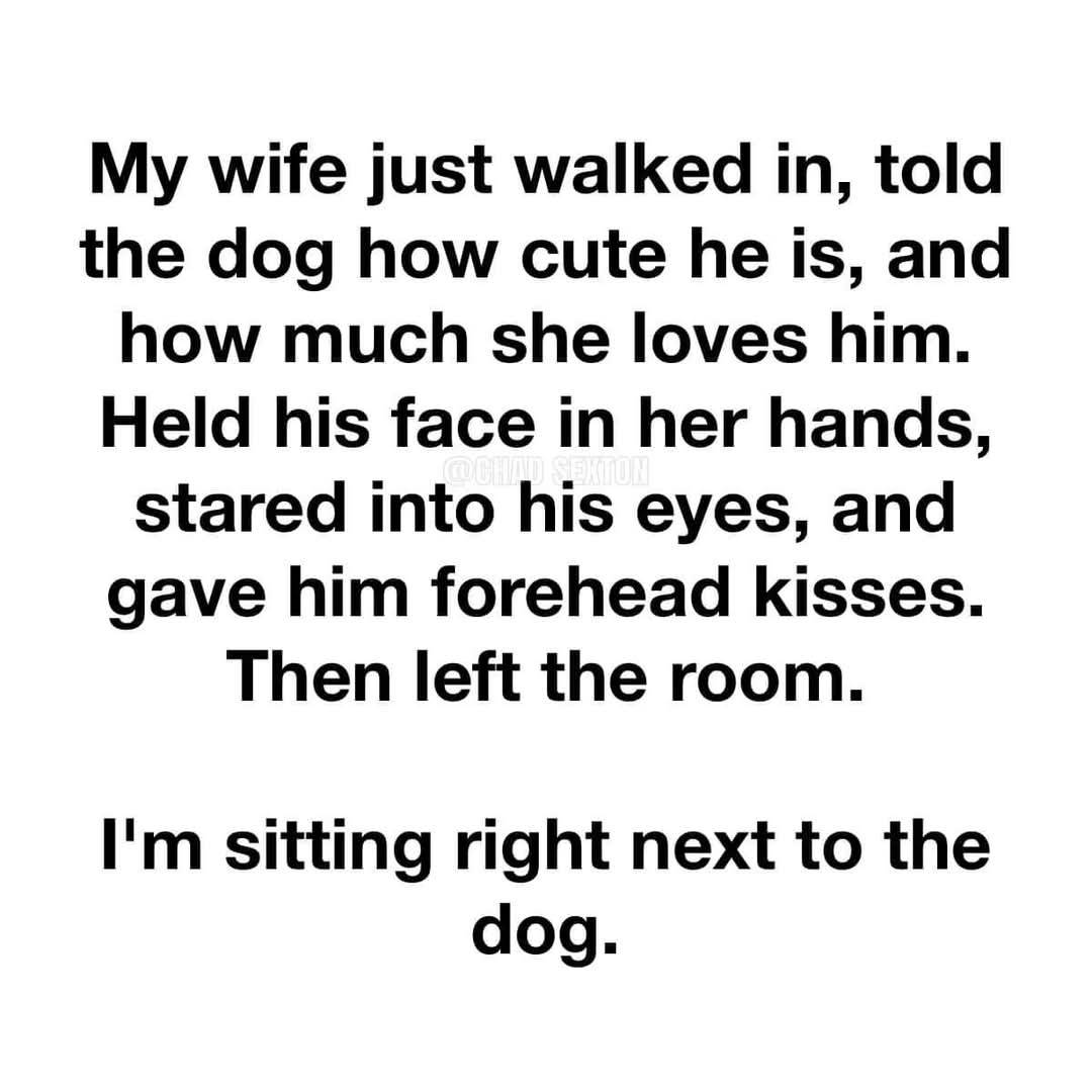 Heckin Good Dogs tweet media