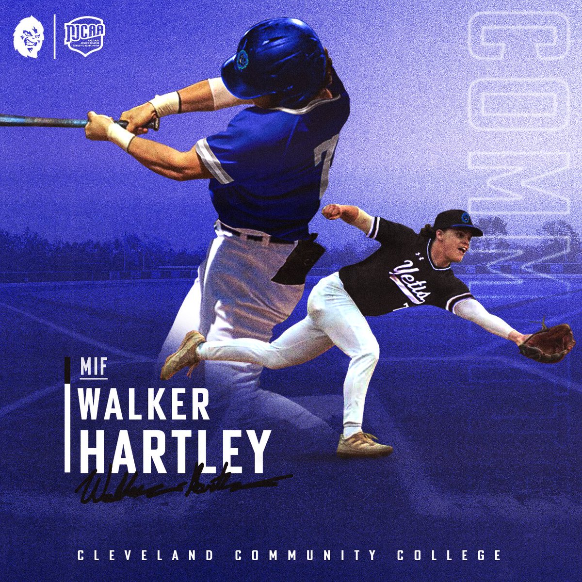 Let’s work @CCCYeti_BSBL